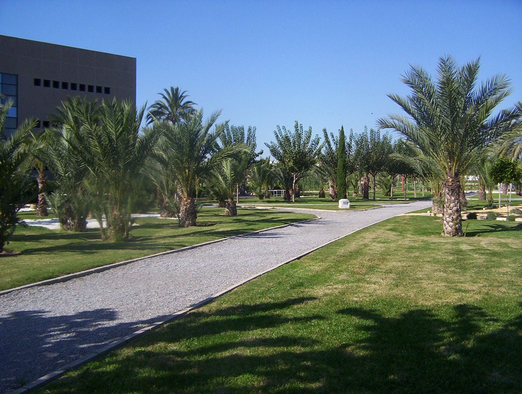 img-campus-miguel-hernandez-elche