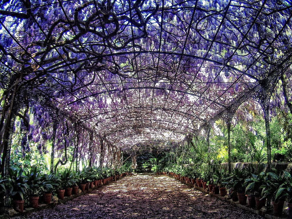 jardin-botanico-historico-de-la-concepcion